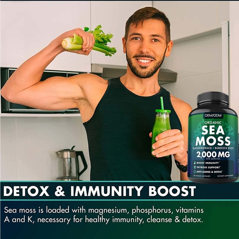 Mare OMG Moss Raw di Moss Capsules Wildcrafted Non del mare organico Unflavored 60 pillole libere di Seamoss del glutine