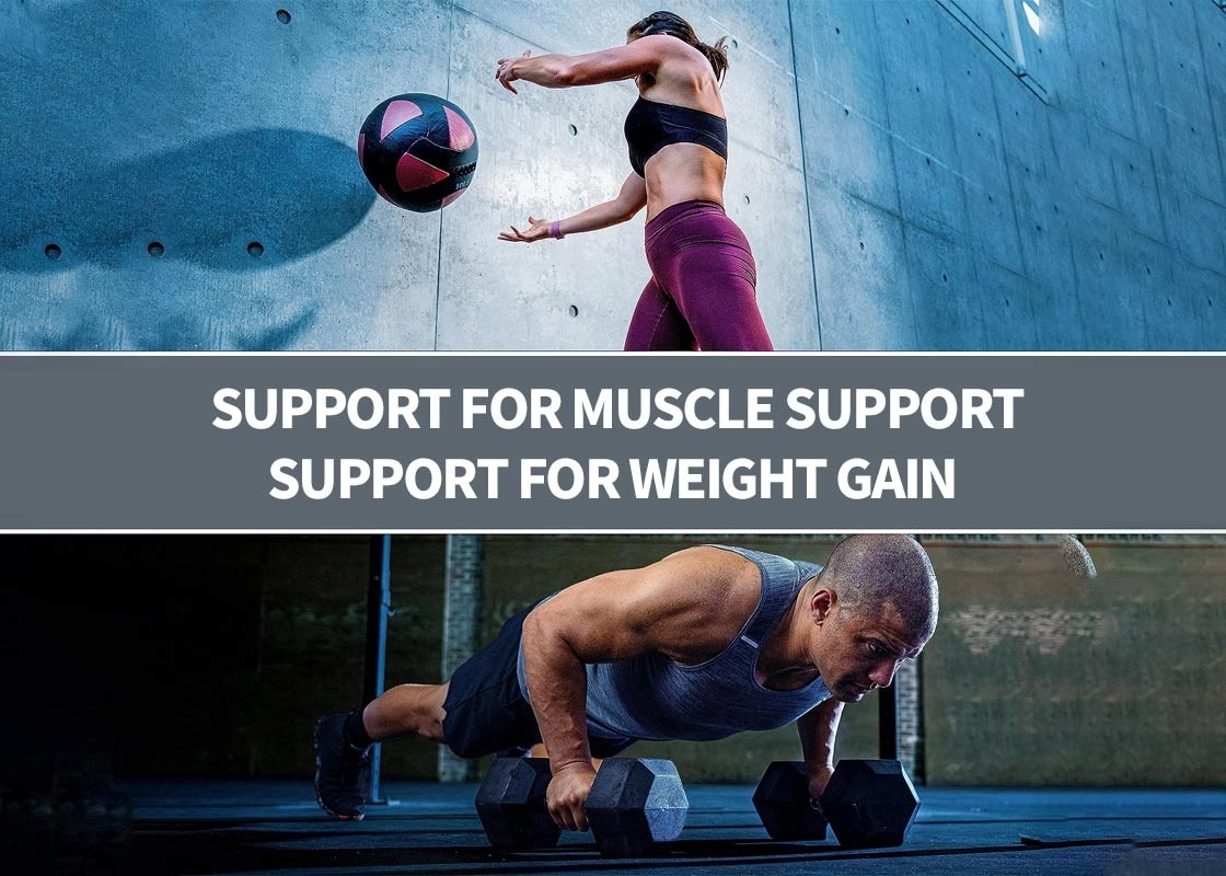 Supplemento di proteine per il supporto muscolare