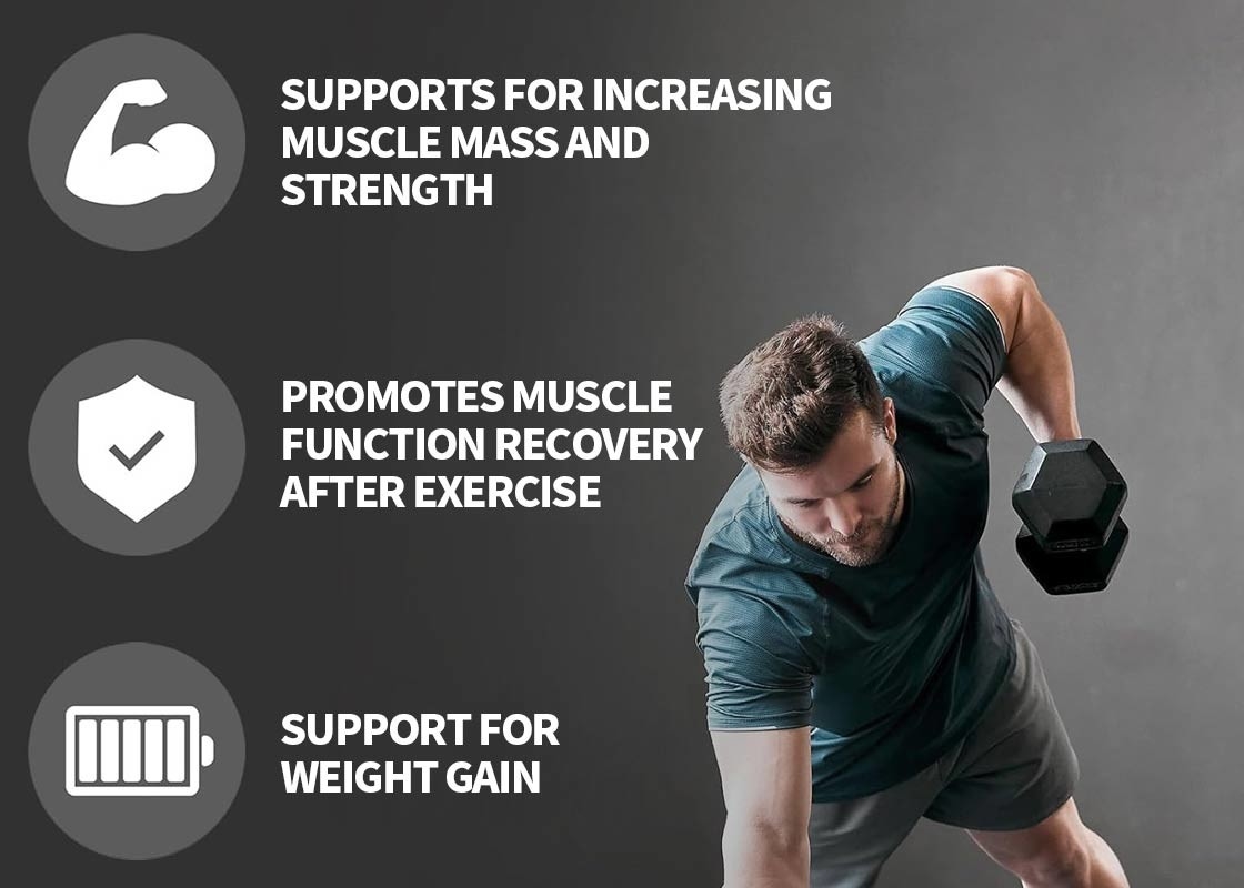 MSDS Chocolate Milkshake Proteine Powder Supports For Increasing Muscle Mass Strength Immunity Booster Supplement