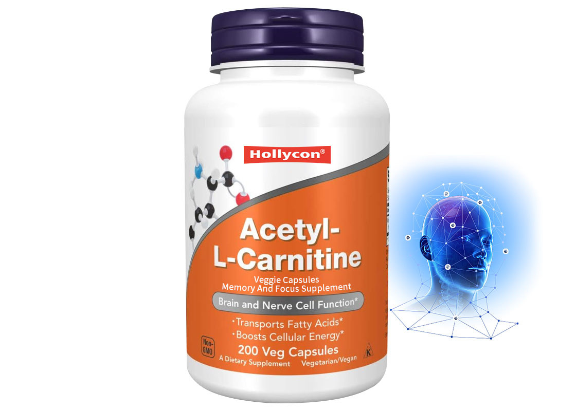 OEM L-carnitina capsule supporto per il cervello e la funzione delle cellule nervose capsule vegetali supporto per la memoria e la concentrazione