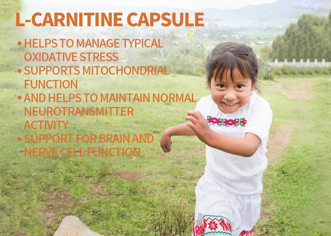 OEM L-carnitina capsule supporto per il cervello e la funzione delle cellule nervose capsule vegetali supporto per la memoria e la concentrazione