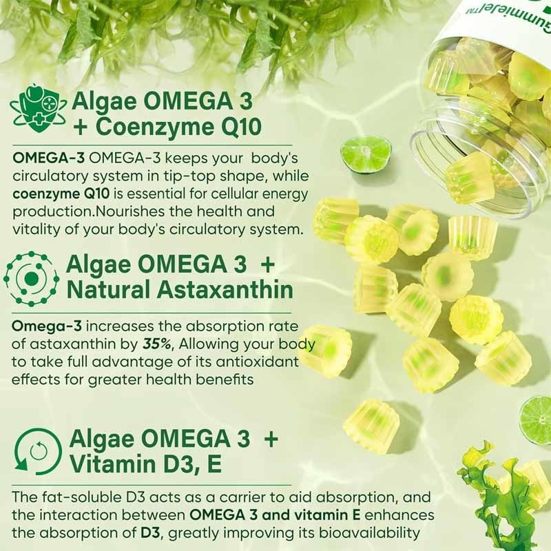 Supporto OEM DHA Vitamina E A D3 per le articolazioni dell'occhio e del cervello Alghe Omega-3 2200mg gomme