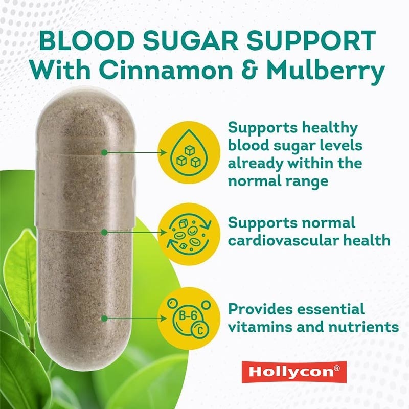 OEM Supplemento di supporto per lo zucchero nel sangue normale Cannella Melone amaro Mulberry Zinco Biotina Vitamina Supplemento a base di erbe
