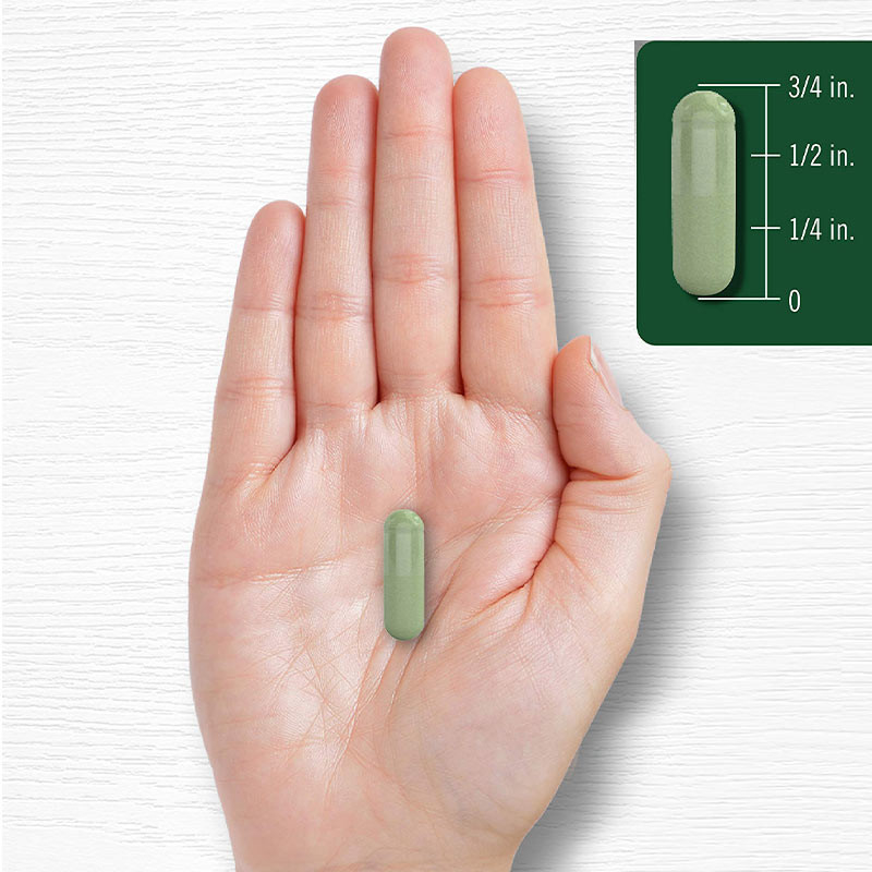 Capsule di polvere di moringa per il supporto articolare