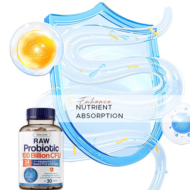 Probiotici organici Capsule dure per rafforzare il sistema immunitario Complesso prebiotico organico