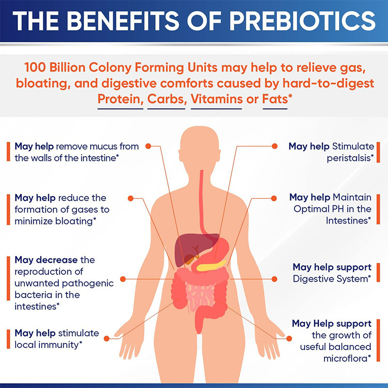 Probiotici organici Capsule dure per rafforzare il sistema immunitario Complesso prebiotico organico