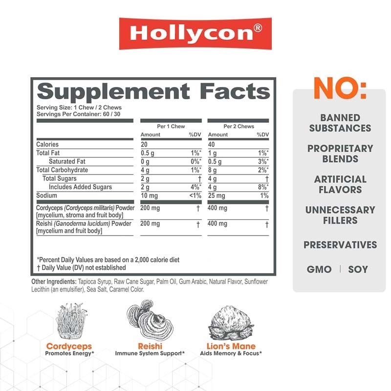 Fabbrica Pianta Cordyceps Funghi nootropici Supporto energetico Focus Salute cerebrale Immunità Ganoderma Lucidum Funghi morbidi