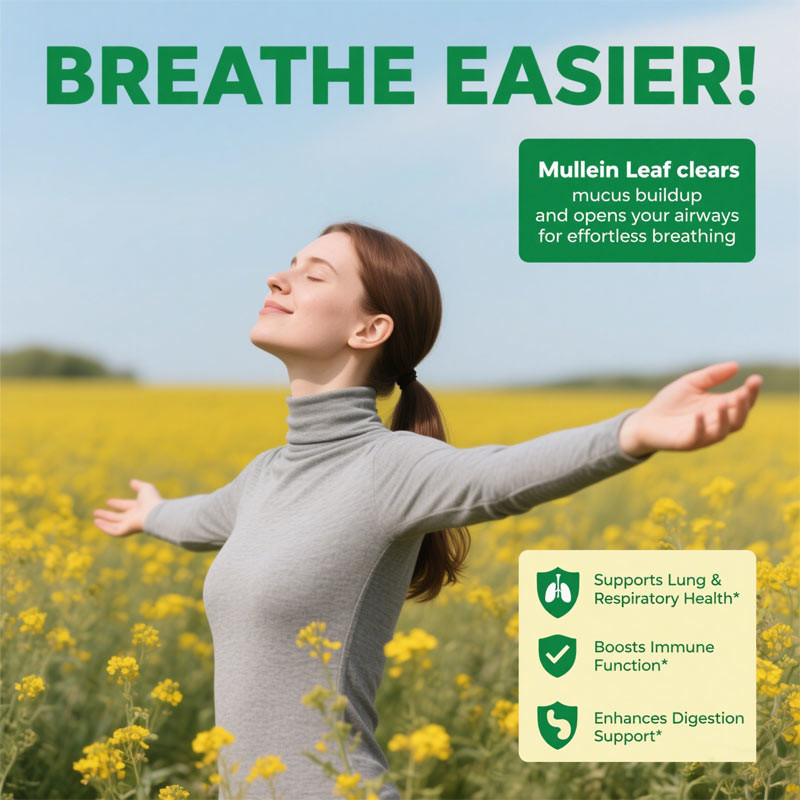 Estratto di foglie di verbasco premium per polmoni 2000mg, caramelle gommose al verbasco, disintossicazione polmonare, supporto respiratorio, digestivo e immunitario