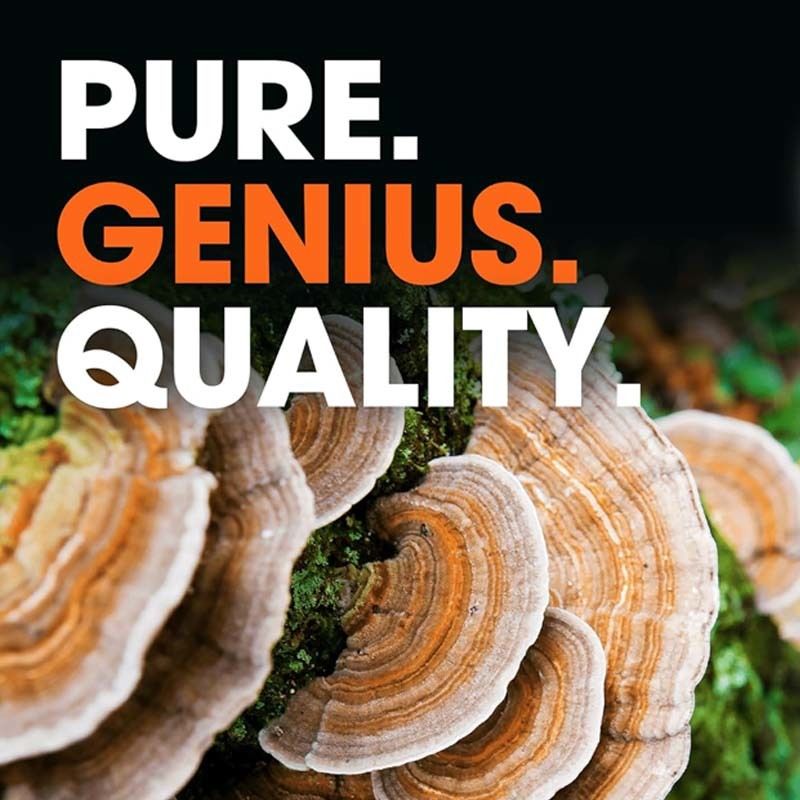 OEM Promuovere il benessere complessivo Supporto meccanismi di difesa naturali del corpo Combattere problemi ossidativi Capsule di coda di tacchino