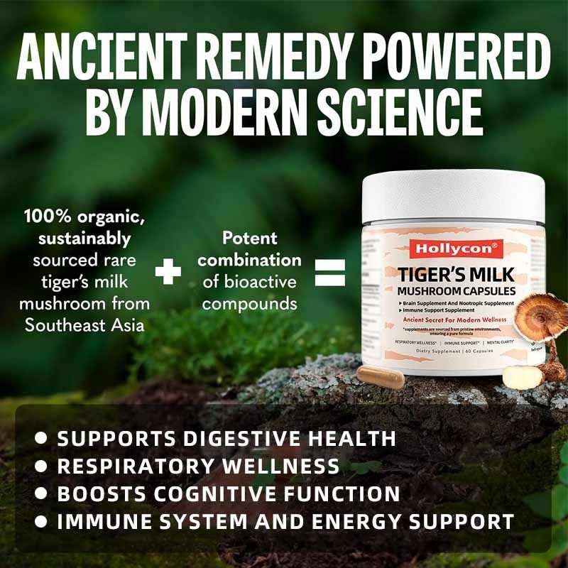 Supplemento di funghi Crescita dei capelli Intestino Digestivo Cervello Salute polmonare Concentramento cognitivo Respirazione Tigre Latte Funghi Capsule