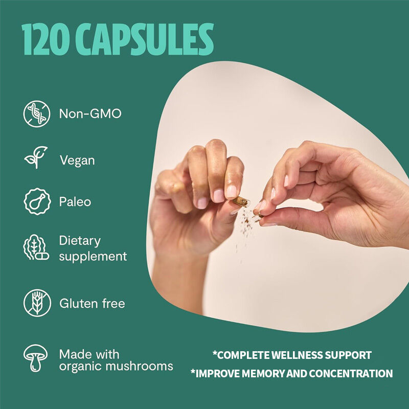 OEM Supplemento per funghi Funghi biologici Supplemento per il cervello Nootropici Supplimenti per il cervello Memoria Focus Ayurveda Funghi complessi Capsule