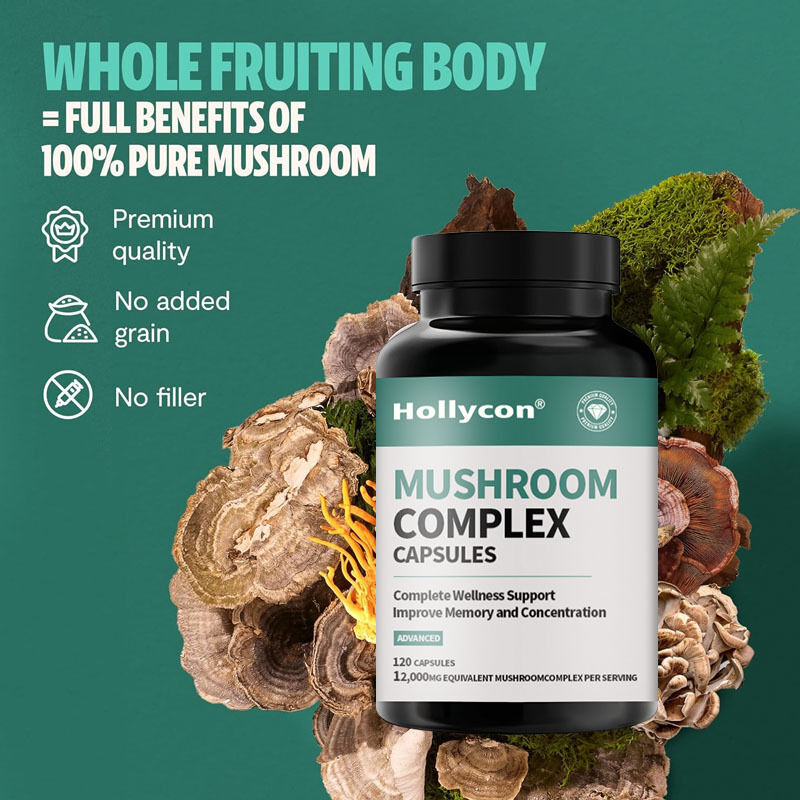 OEM Supplemento per funghi Funghi biologici Supplemento per il cervello Nootropici Supplimenti per il cervello Memoria Focus Ayurveda Funghi complessi Capsule
