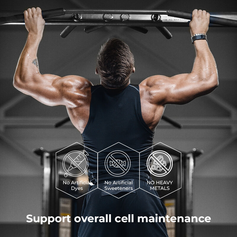 Etichetta privata Shilajit gomme maschili Fulvic Acid Supplemento senza zucchero Mantenere livelli energetici normali e funzione immunitaria