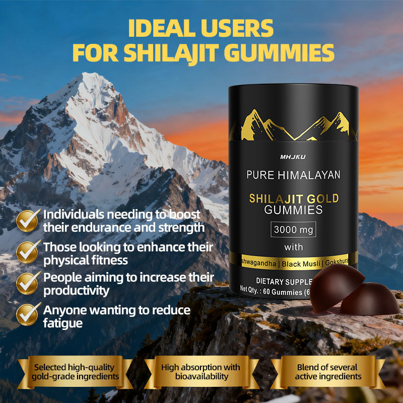 Marchi personalizzati gomme di Shilajit Himalayan Organic Pure Himalayan Shilajit Candy Booster cerebrale vegano gomme di Shilajit