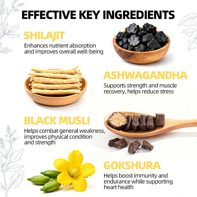 Marchi personalizzati gomme di Shilajit Himalayan Organic Pure Himalayan Shilajit Candy Booster cerebrale vegano gomme di Shilajit