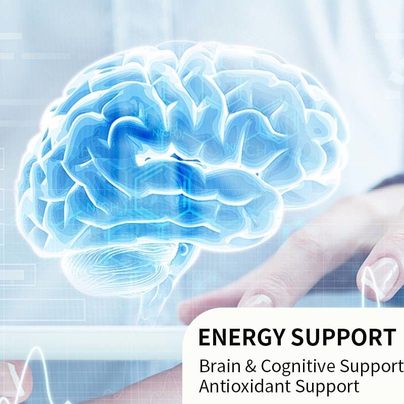 Acetyl L-Carnitine Amino Acid Capsules with Antioxidant Support for Daily Cognitive Wellness and OEM Private Label