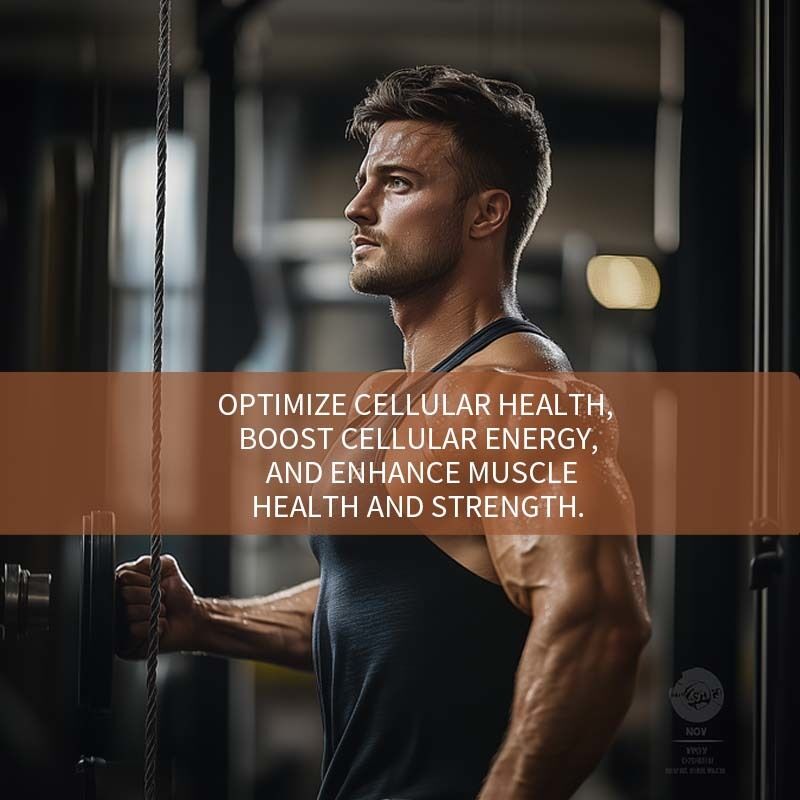 Urolitina A di alta purezza in capsule morbide. Supplemento di nutrienti cellulari di origine vegetale con etichetta privata personalizzata.