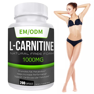 MSDS Supplementi per ridurre i grassi Nutrizione Extra Strength L-Carnitina Capsule dimagranti