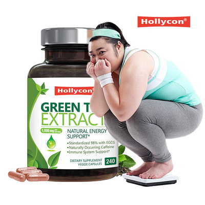 Estratto di tè verde Capsule dimagranti Antiossidante L Teanina in polvere