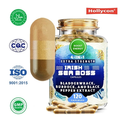 Fornitore Capsule di muschio di mare irlandese Aumentano l'energia Migliorano le articolazioni ossee Polvere di muschio di mare