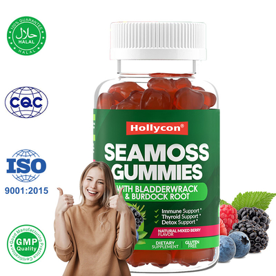 Gumi di muschio di mare irlandese 1000mg Bladderwrack Muschio di mare gommi per il supporto digestivo