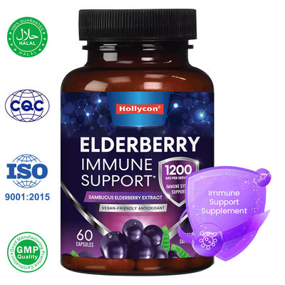 Fabbrica Sambucus Black Elderberry Capsule Supplemento di supporto immunitario Antiossidante