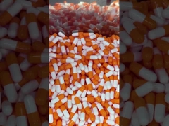 Superfood di funghi Capsule di potenziamento giornaliero